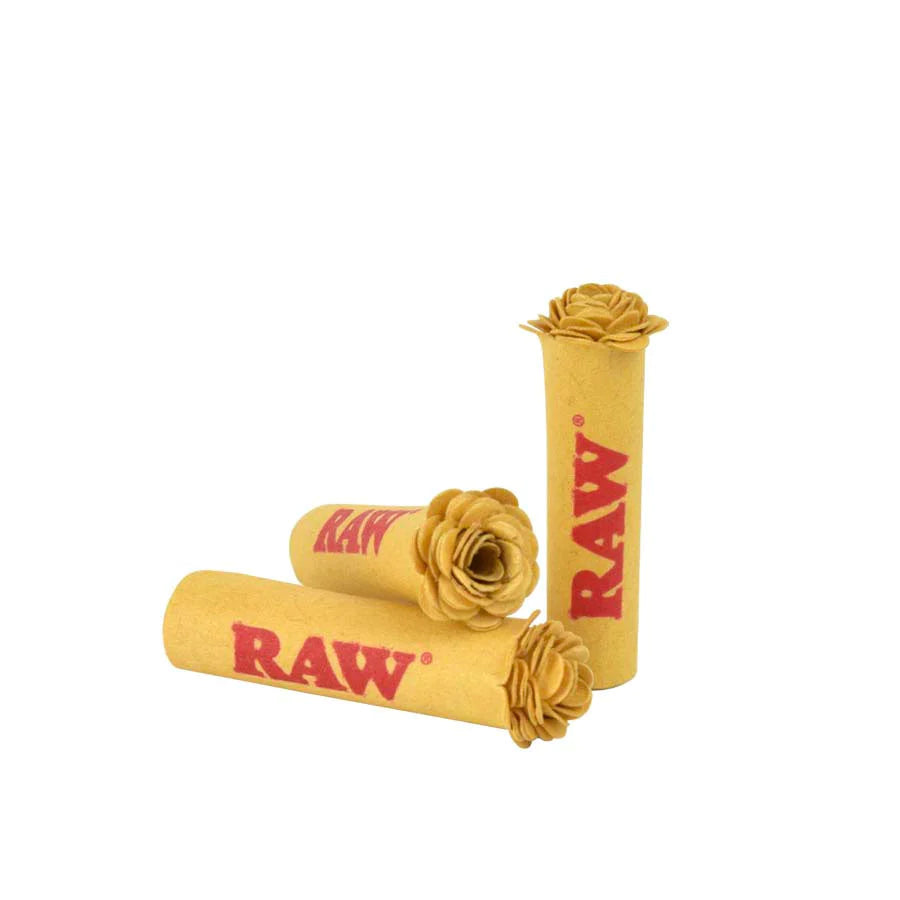 Raw Tips - Prerolled Rose 6ct