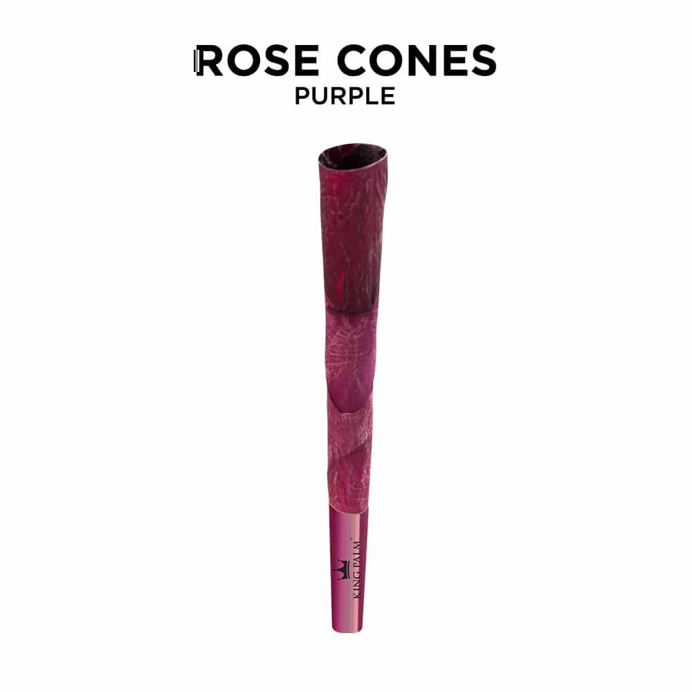 King Palm Purple Rose Cones 15/3