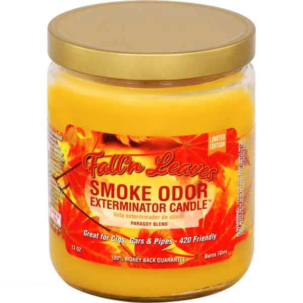 Smoke Odor Exterminator 13oz Fall n Leaves